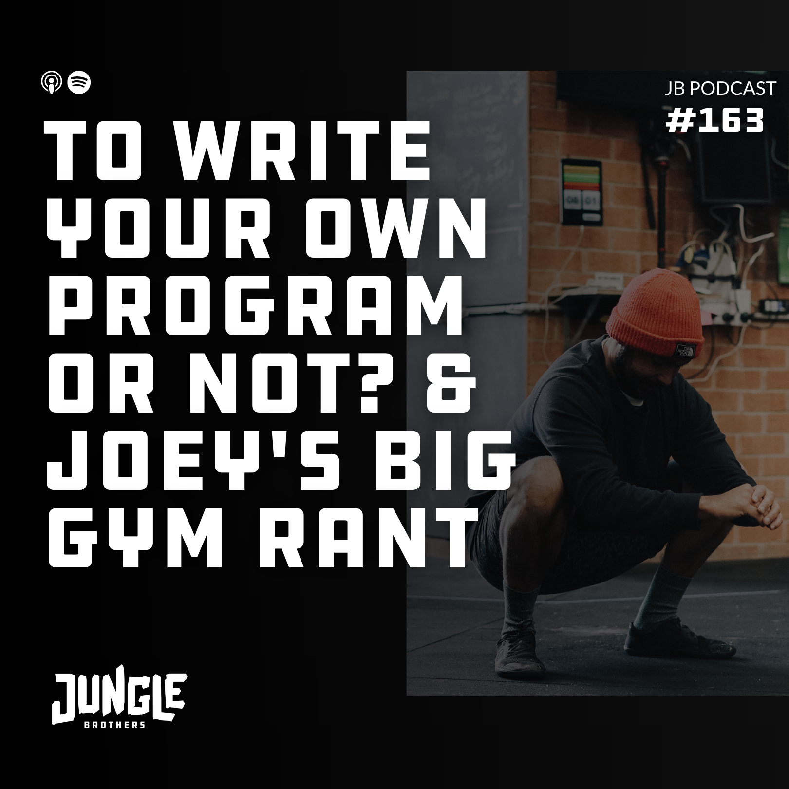 163: To Write Your Own Program Or Not? & Joeys Big Gym Rant episode artwork